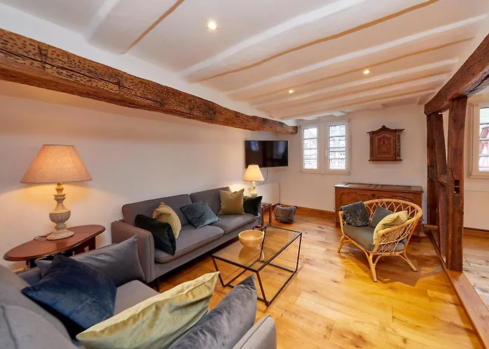 بيت للعطل Badstube Anno 1583 *